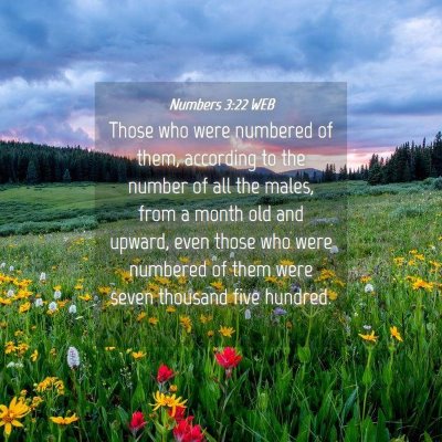Picture 04 - Numbers 3:22 WEB - Those who were numbered of them, according to the - Bible Verse Picture