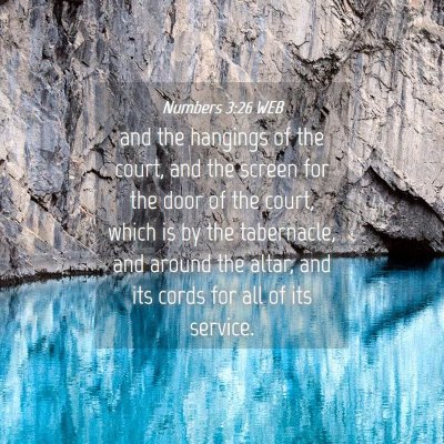 Picture 04 - Numbers 3:26 WEB - and the hangings of the court, and the screen for - Bible Verse Picture
