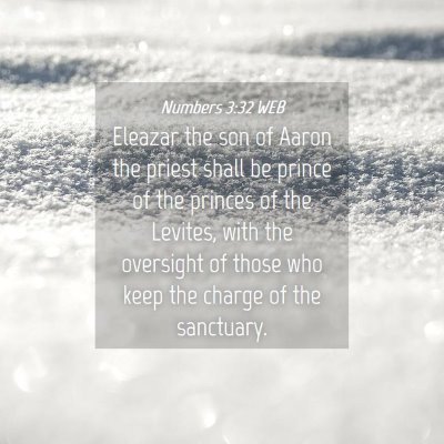Picture 04 - Numbers 3:32 WEB - Eleazar the son of Aaron the priest shall be - Bible Verse Picture