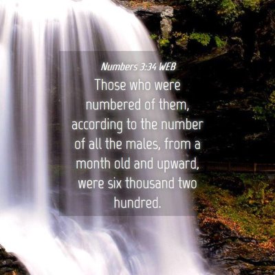 Picture 04 - Numbers 3:34 WEB - Those who were numbered of them, according to the - Bible Verse Picture