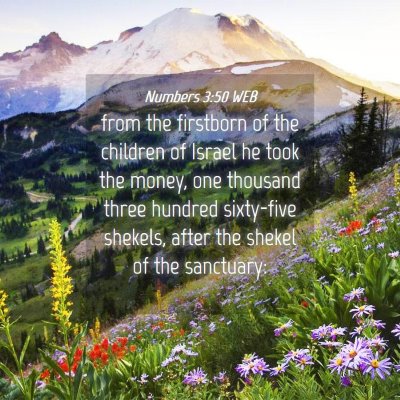 Picture 04 - Numbers 3:50 WEB - from the firstborn of the children of Israel he - Bible Verse Picture
