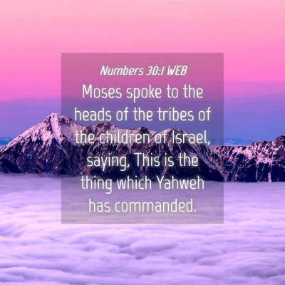 Picture 04 - Numbers 30:1 WEB - Moses spoke to the heads of the tribes of the - Bible Verse Picture