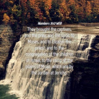 Picture 04 - Numbers 31:12 WEB - They brought the captives, and the prey, and the - Bible Verse Picture