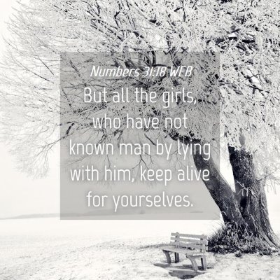 Picture 04 - Numbers 31:18 WEB - But all the girls, who have not known man by - Bible Verse Picture