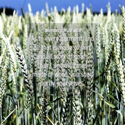 Picture 04 - Numbers 31:20 WEB - As to every garment, and all that is made of - Bible Verse Picture