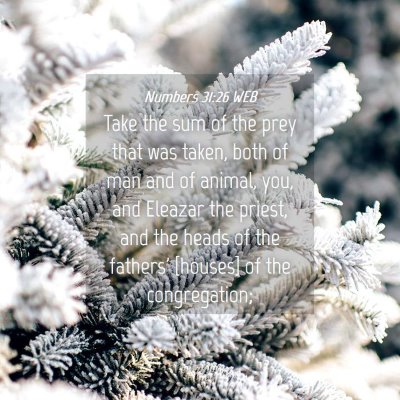 Picture 04 - Numbers 31:26 WEB - Take the sum of the prey that was taken, both of - Bible Verse Picture