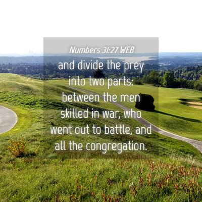 Picture 04 - Numbers 31:27 WEB - and divide the prey into two parts: between the - Bible Verse Picture
