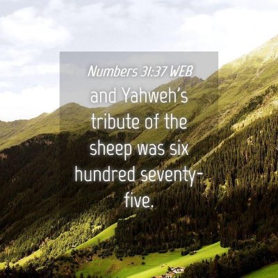 Picture 04 - Numbers 31:37 WEB - and Yahweh's tribute of the sheep was six hundred - Bible Verse Picture