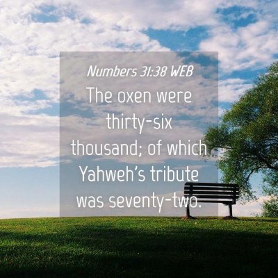 Picture 04 - Numbers 31:38 WEB - The oxen were thirty-six thousand; of which - Bible Verse Picture