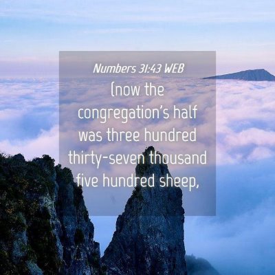 Picture 04 - Numbers 31:43 WEB - (now the congregation's half was three hundred - Bible Verse Picture
