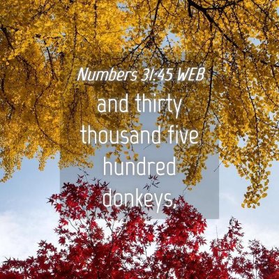 Picture 04 - Numbers 31:45 WEB - and thirty thousand five hundred - Bible Verse Picture