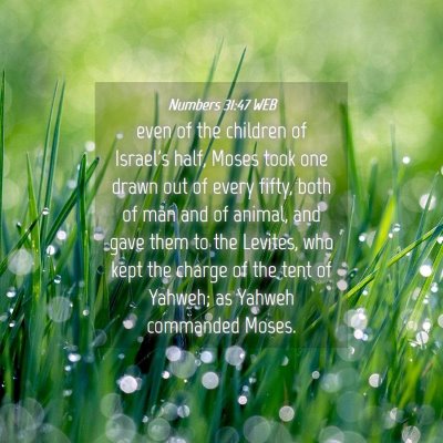 Picture 04 - Numbers 31:47 WEB - even of the children of Israel's half, Moses took - Bible Verse Picture
