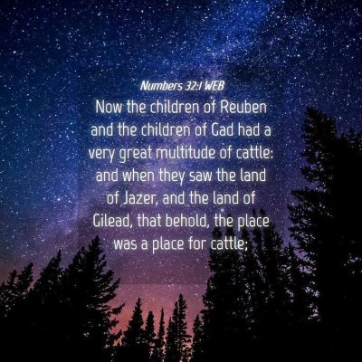 Picture 04 - Numbers 32:1 WEB - Now the children of Reuben and the children of - Bible Verse Picture