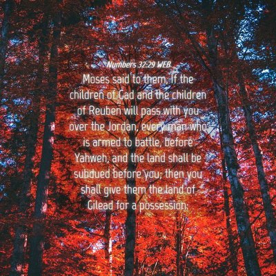 Picture 04 - Numbers 32:29 WEB - Moses said to them, If the children of Gad and - Bible Verse Picture