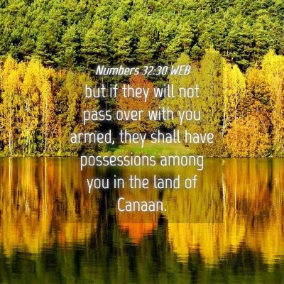 Picture 04 - Numbers 32:30 WEB - but if they will not pass over with you armed, - Bible Verse Picture