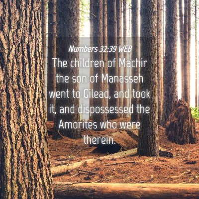 Picture 04 - Numbers 32:39 WEB - The children of Machir the son of Manasseh went - Bible Verse Picture
