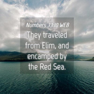 Picture 04 - Numbers 33:10 WEB - They traveled from Elim, and encamped by the Red - Bible Verse Picture