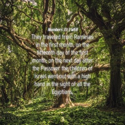 Picture 04 - Numbers 33:3 WEB - They traveled from Rameses in the first month, on - Bible Verse Picture