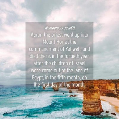 Picture 04 - Numbers 33:38 WEB - Aaron the priest went up into Mount Hor at the - Bible Verse Picture