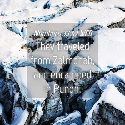 Picture 04 - Numbers 33:42 WEB - They traveled from Zalmonah, and encamped in - Bible Verse Picture