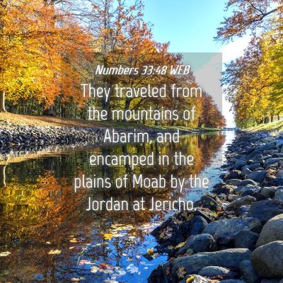 Picture 04 - Numbers 33:48 WEB - They traveled from the mountains of Abarim, and - Bible Verse Picture
