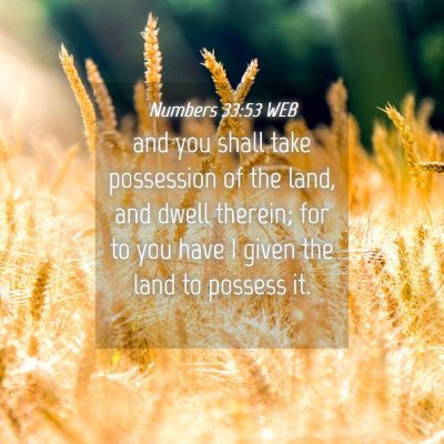 Picture 04 - Numbers 33:53 WEB - and you shall take possession of the land, and - Bible Verse Picture