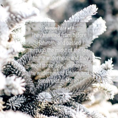 Picture 04 - Numbers 33:8 WEB - They traveled from before Hahiroth, and passed - Bible Verse Picture