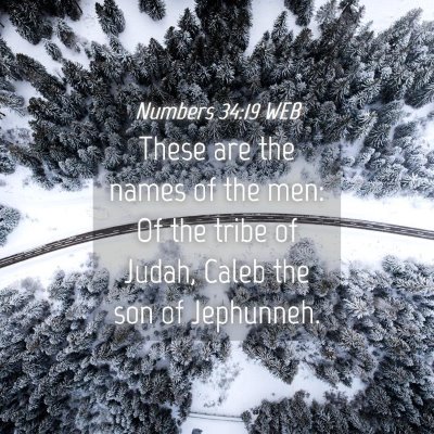 Picture 04 - Numbers 34:19 WEB - These are the names of the men: Of the tribe of - Bible Verse Picture