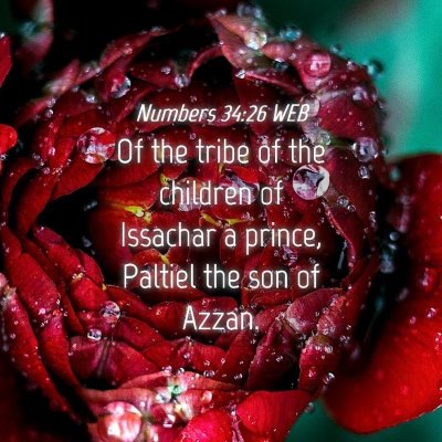 Picture 04 - Numbers 34:26 WEB - Of the tribe of the children of Issachar a - Bible Verse Picture