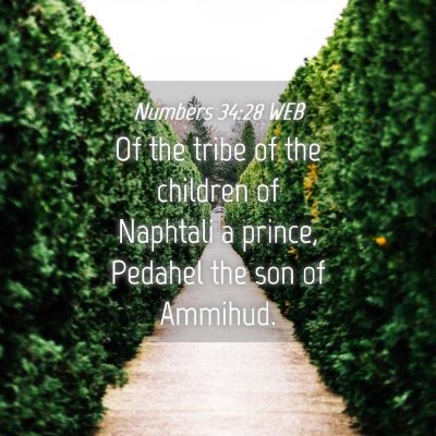 Picture 04 - Numbers 34:28 WEB - Of the tribe of the children of Naphtali a - Bible Verse Picture