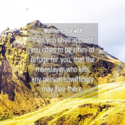 Picture 04 - Numbers 35:11 WEB - then you shall appoint you cities to be cities of - Bible Verse Picture