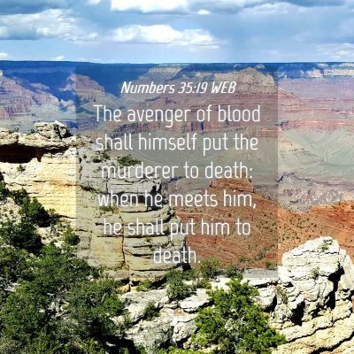 Picture 04 - Numbers 35:19 WEB - The avenger of blood shall himself put the - Bible Verse Picture