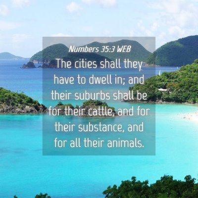 Picture 04 - Numbers 35:3 WEB - The cities shall they have to dwell in; and their - Bible Verse Picture