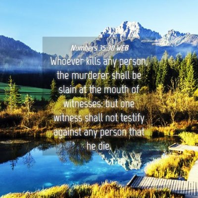 Picture 04 - Numbers 35:30 WEB - Whoever kills any person, the murderer shall be - Bible Verse Picture