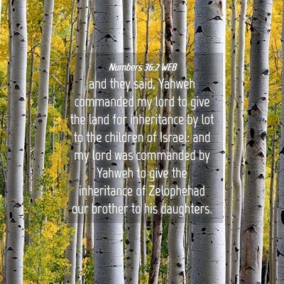 Picture 04 - Numbers 36:2 WEB - and they said, Yahweh commanded my lord to give - Bible Verse Picture