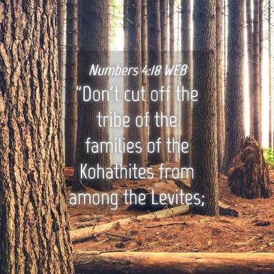 Picture 04 - Numbers 4:18 WEB - 