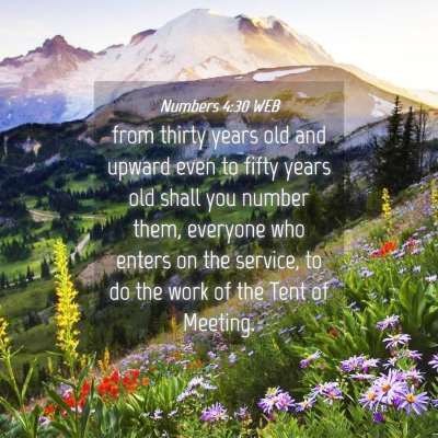 Picture 04 - Numbers 4:30 WEB - from thirty years old and upward even to fifty - Bible Verse Picture