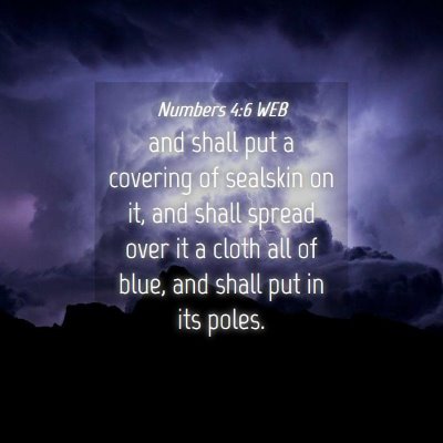 Picture 04 - Numbers 4:6 WEB - and shall put a covering of sealskin on it, and - Bible Verse Picture