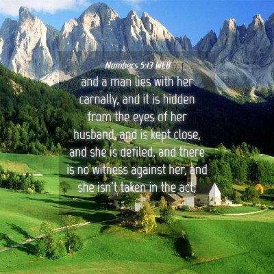 Picture 04 - Numbers 5:13 WEB - and a man lies with her carnally, and it is - Bible Verse Picture