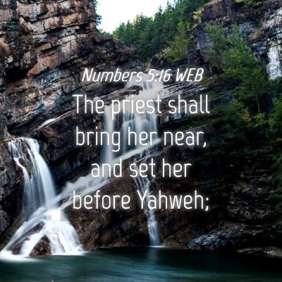 Picture 04 - Numbers 5:16 WEB - The priest shall bring her near, and set her - Bible Verse Picture