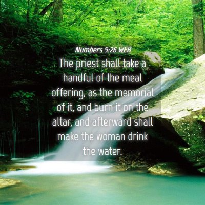 Picture 04 - Numbers 5:26 WEB - The priest shall take a handful of the meal - Bible Verse Picture