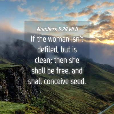 Picture 04 - Numbers 5:28 WEB - If the woman isn't defiled, but is clean; then - Bible Verse Picture