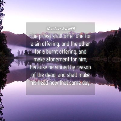 Picture 04 - Numbers 6:11 WEB - The priest shall offer one for a sin offering, - Bible Verse Picture
