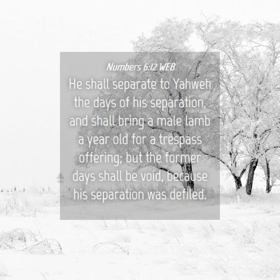 Picture 04 - Numbers 6:12 WEB - He shall separate to Yahweh the days of his - Bible Verse Picture