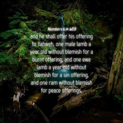Picture 04 - Numbers 6:14 WEB - and he shall offer his offering to Yahweh, one - Bible Verse Picture
