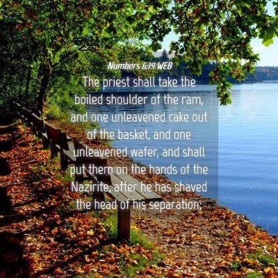 Picture 04 - Numbers 6:19 WEB - The priest shall take the boiled shoulder of the - Bible Verse Picture