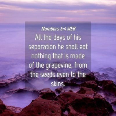 Picture 04 - Numbers 6:4 WEB - All the days of his separation he shall eat - Bible Verse Picture