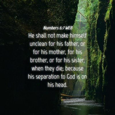 Picture 04 - Numbers 6:7 WEB - He shall not make himself unclean for his father, - Bible Verse Picture