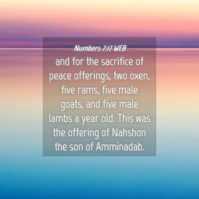 Picture 04 - Numbers 7:17 WEB - and for the sacrifice of peace offerings, two - Bible Verse Picture