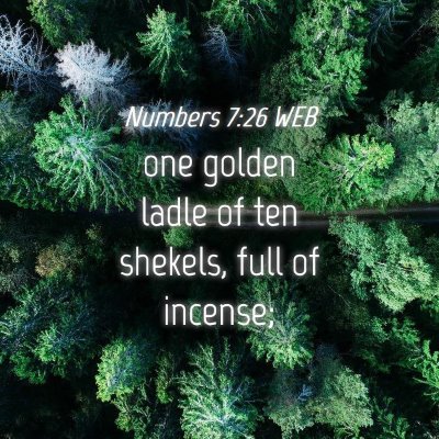 Picture 04 - Numbers 7:26 WEB - one golden ladle of ten shekels, full of - Bible Verse Picture